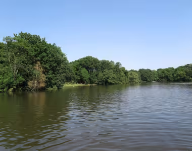 Karpfenteich