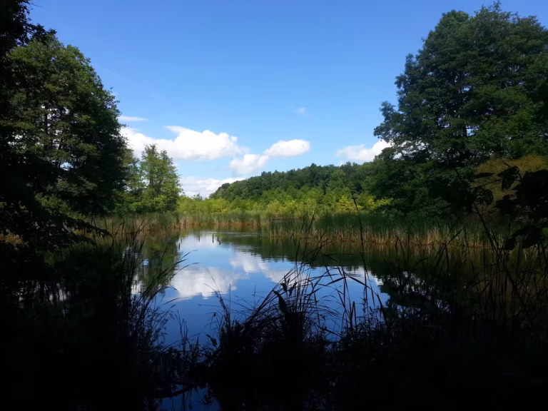 Strausberger hike