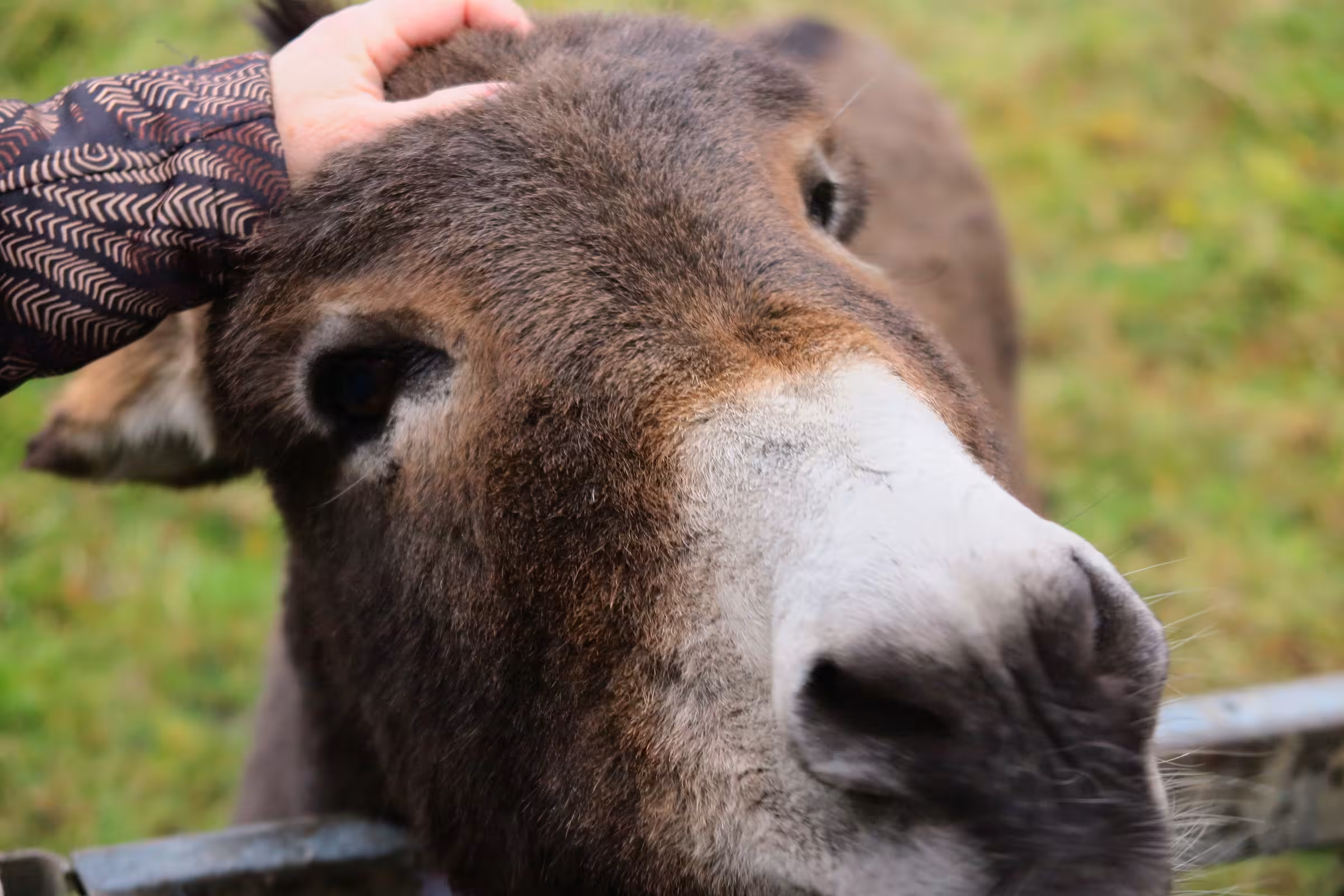 Hiking around Wandlitzsee