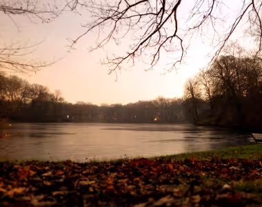 Frozen Karpfenteich