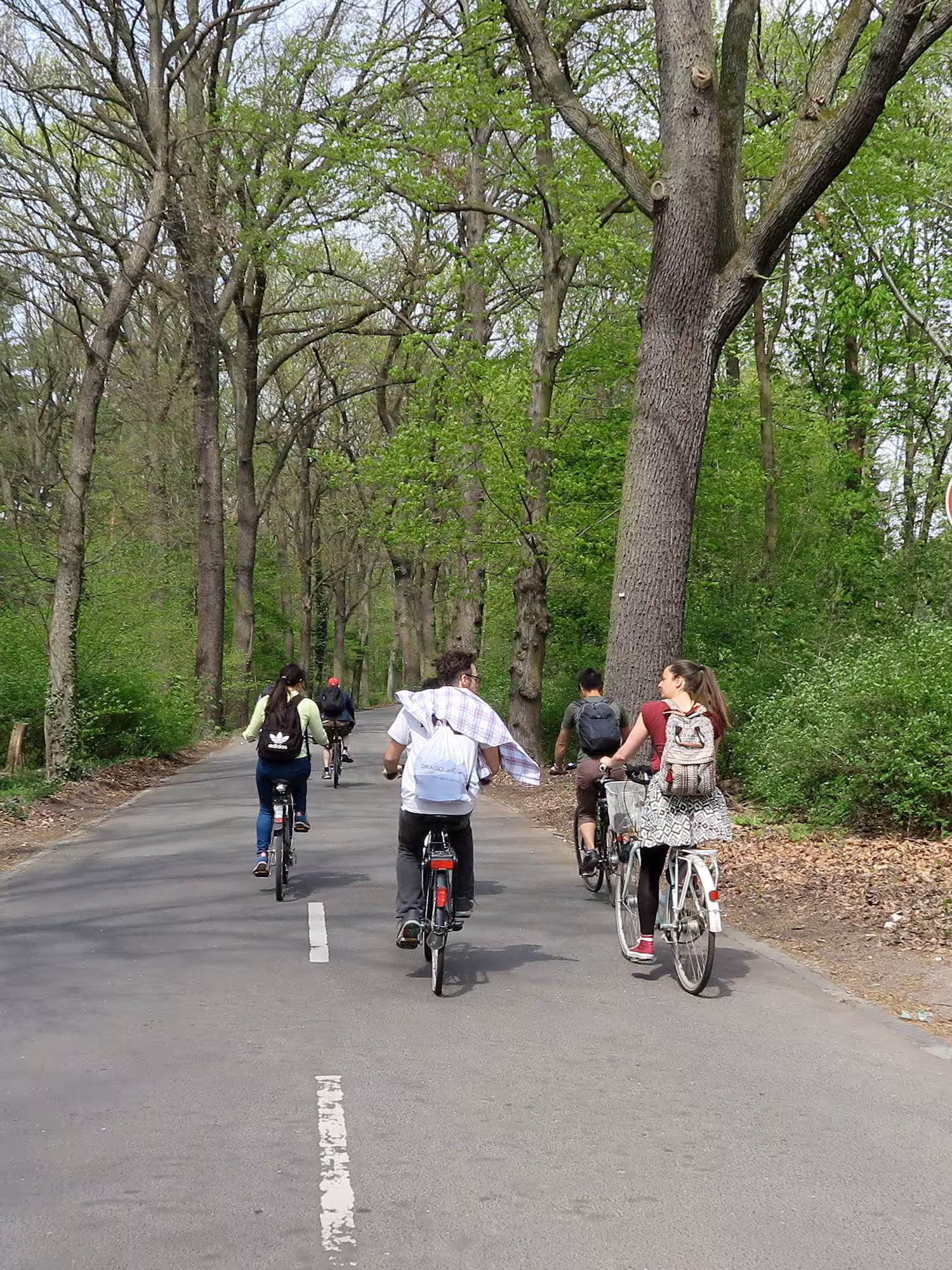 Our cycling group, enroute to Baumblütenfest