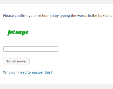 Anti-spam CAPTCHA
