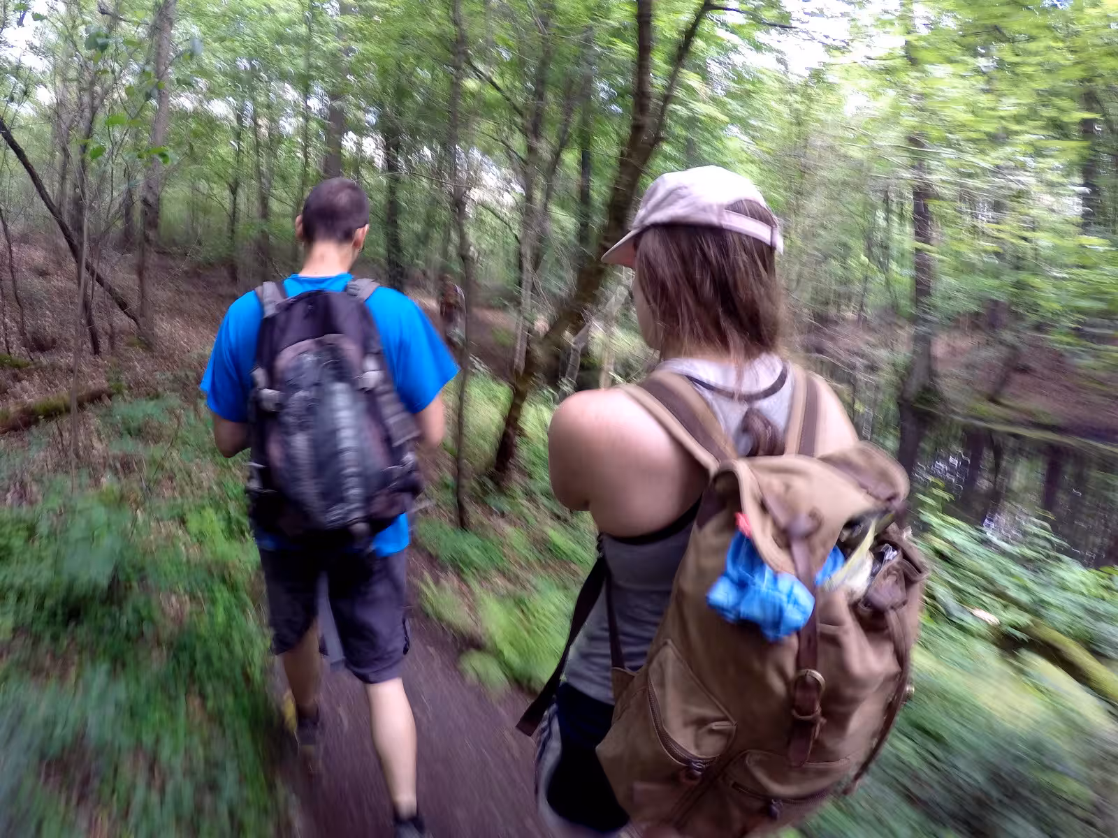 Walking on the Brisetal hike