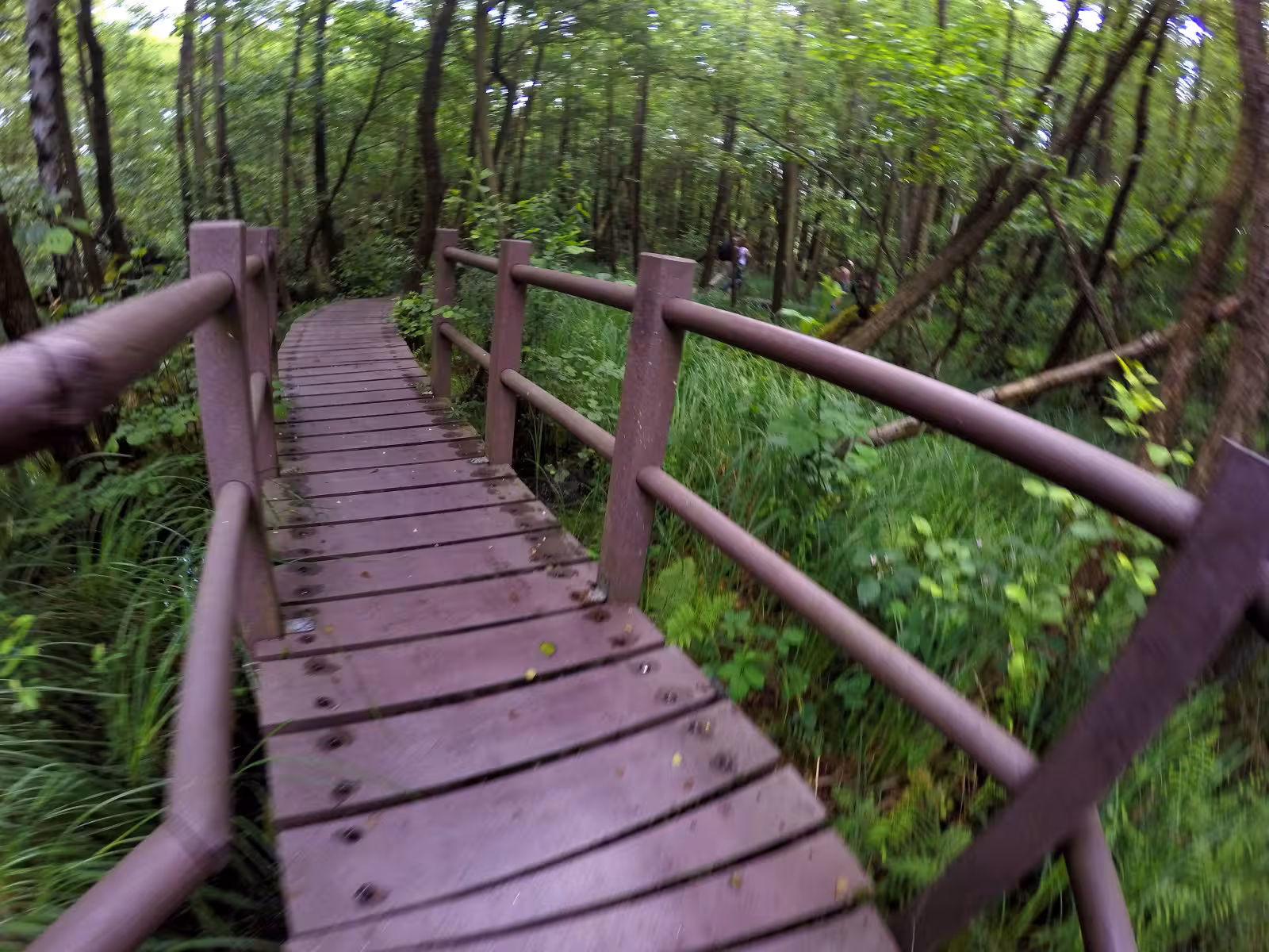 Brisetal hiking path