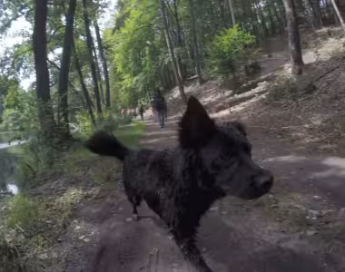 Turmwanderweg hike