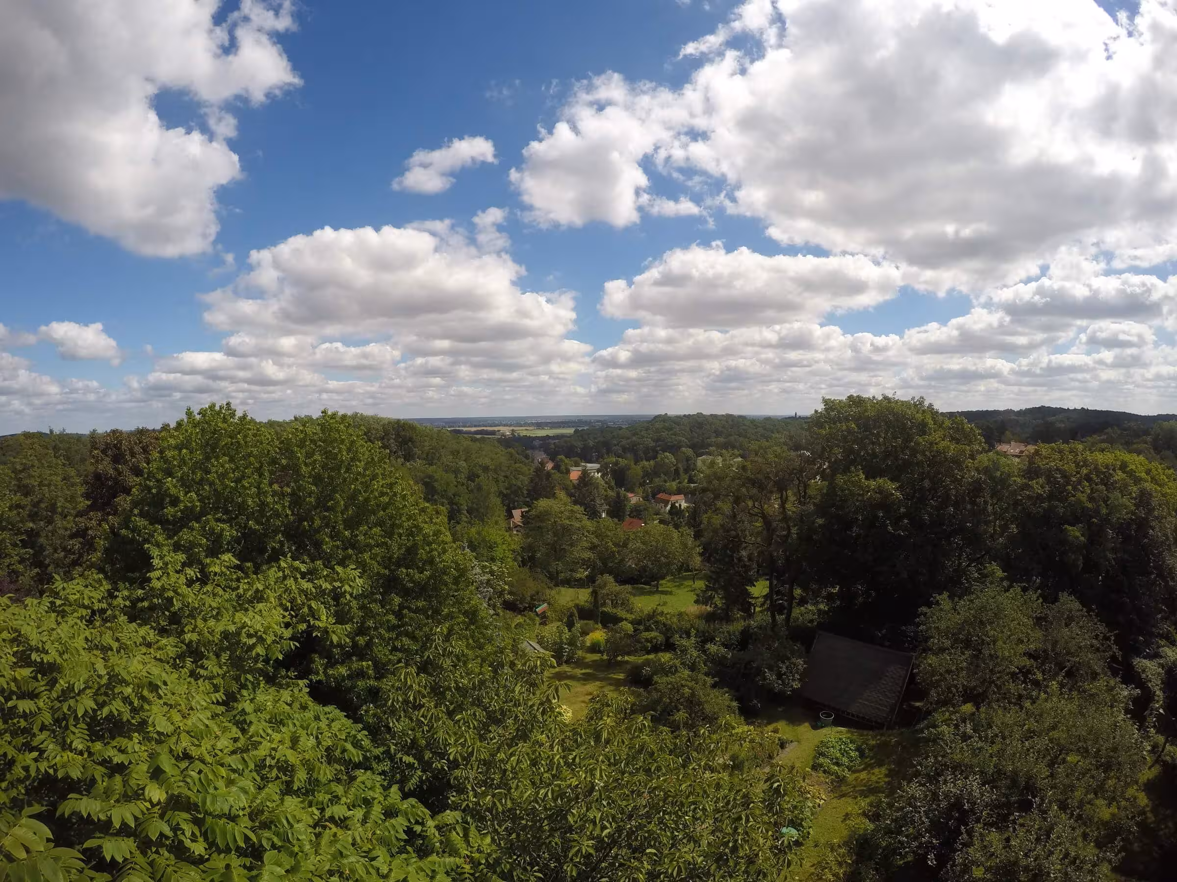 Garden view from tower