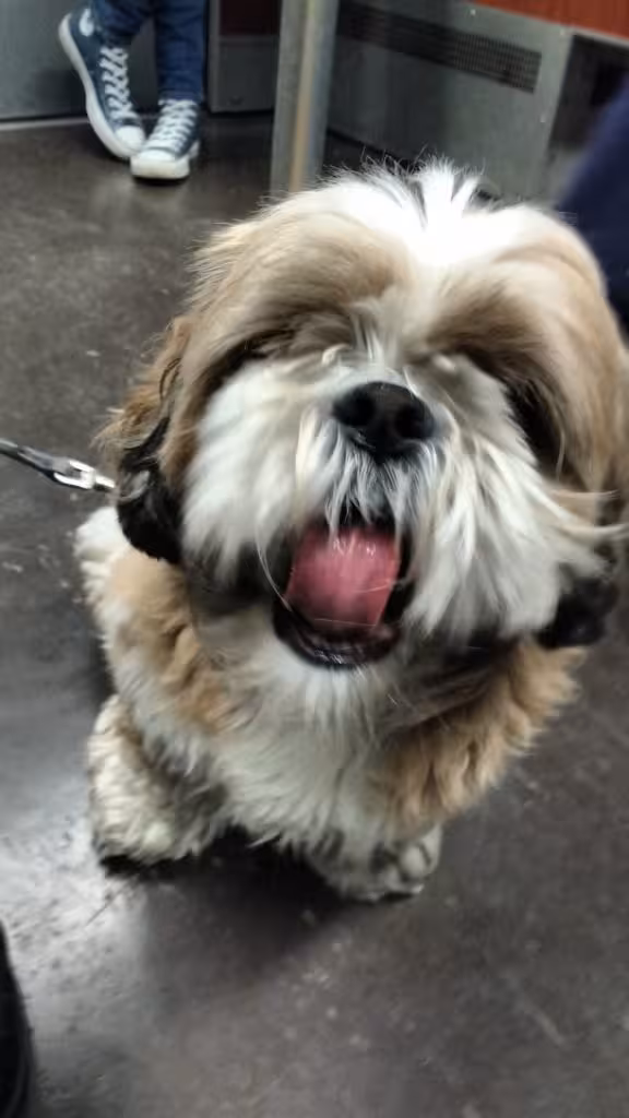 IMG_20161122_151431934