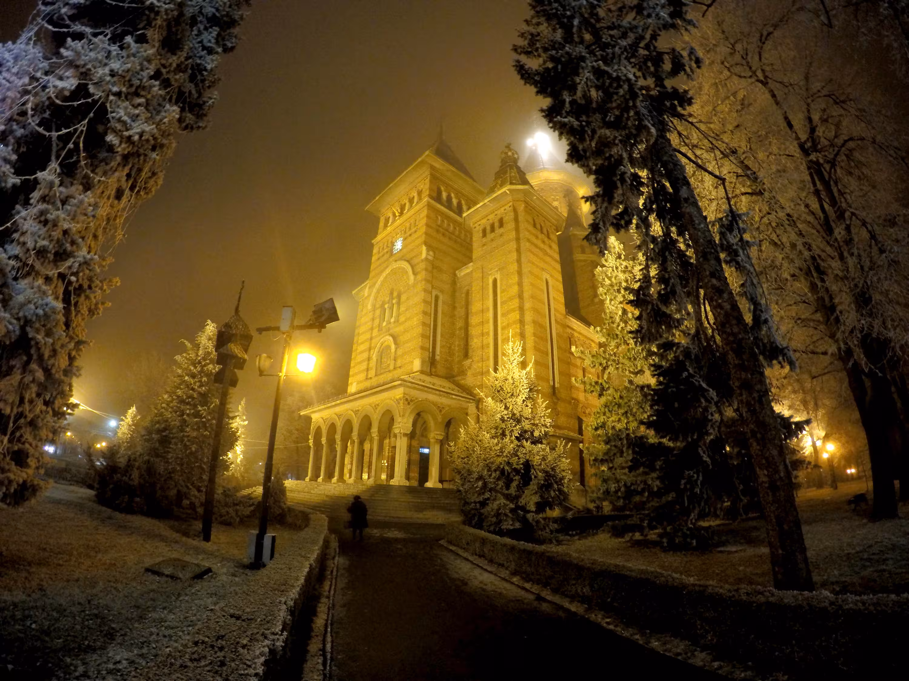 Jelly coworking does Timisoara