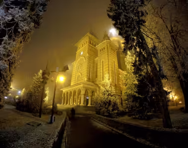 Jelly coworking does Timisoara