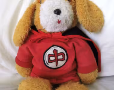 Ted