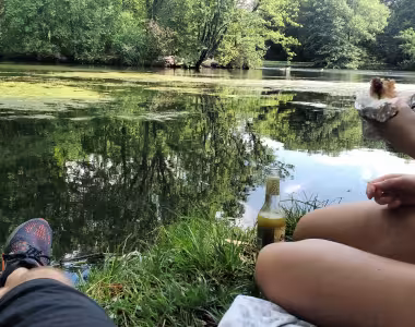 Picnic at Karpfenteich