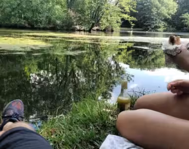 Picnic at Karpfenteich