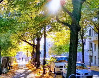 Autumn in Berlin