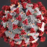 Disease