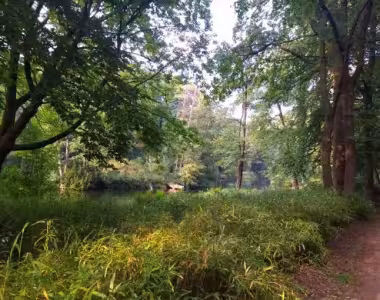 Tiergarten