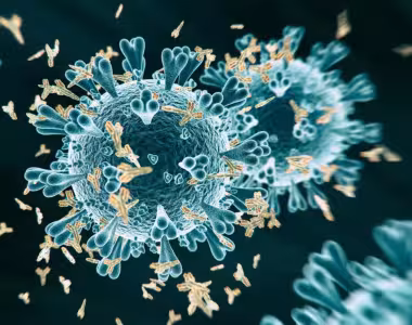 COVID-19 herd immunity in Stockholm County