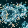 COVID-19 herd immunity in Stockholm County