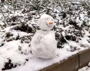 First day of snow