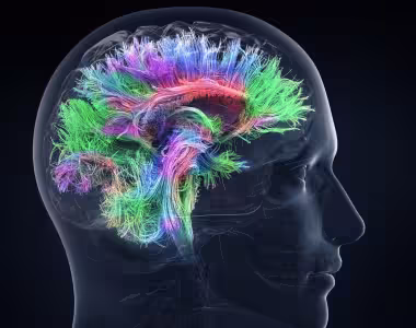 How my brain feels