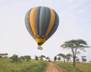 Hot air balloon above the Serengeti