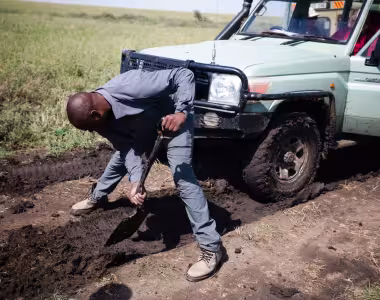 Stuck in the Serengeti