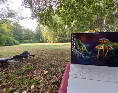 Relaxing in Tiergarten
