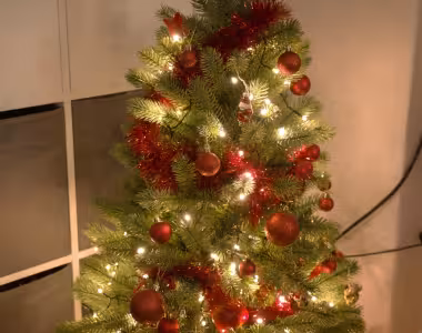 Xmas tree 2022