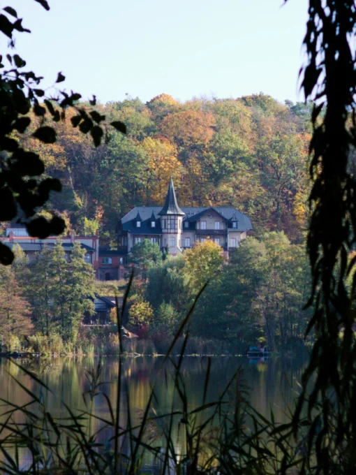 Buckow lake