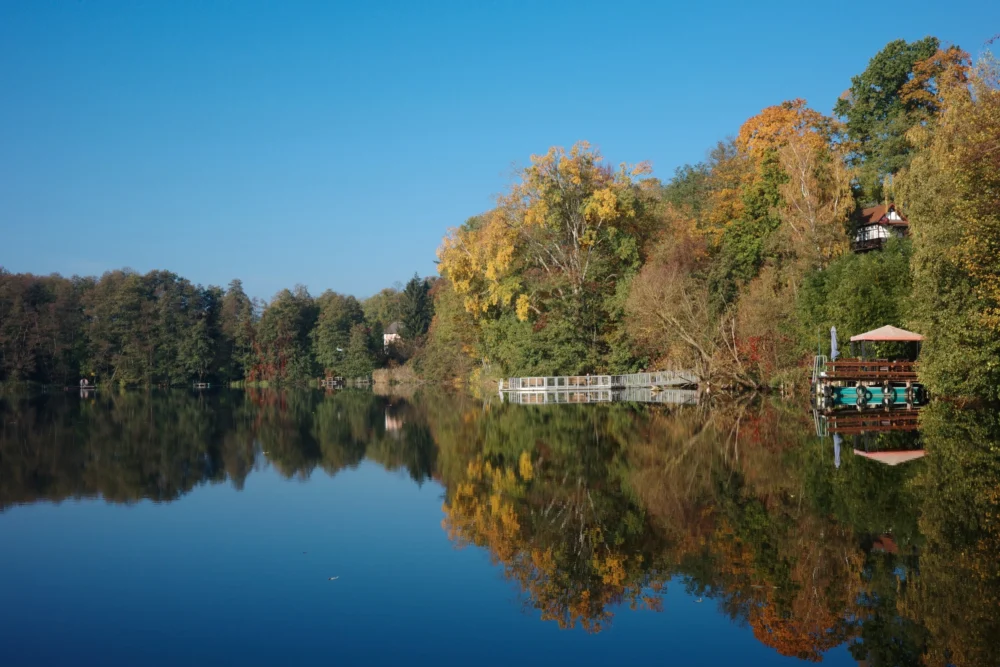 Buckow lake