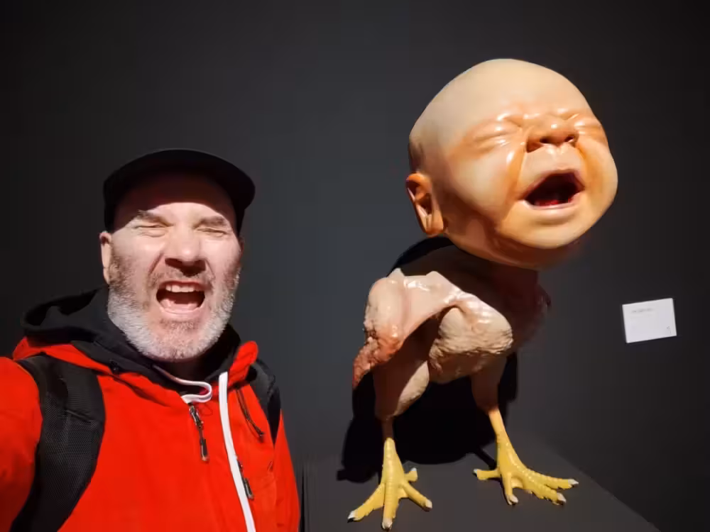 Screaming chicken baby