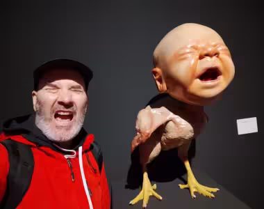 Screaming chicken baby