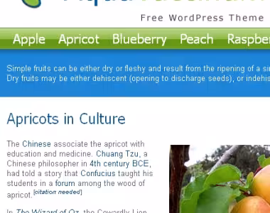 New Aqua Vaccinium WordPress theme