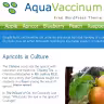 New Aqua Vaccinium WordPress theme