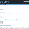 Simple CMS WordPress Theme
