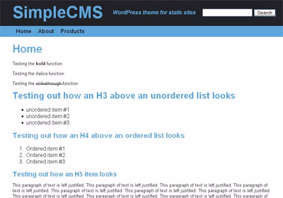 Simple CMS WordPress Theme